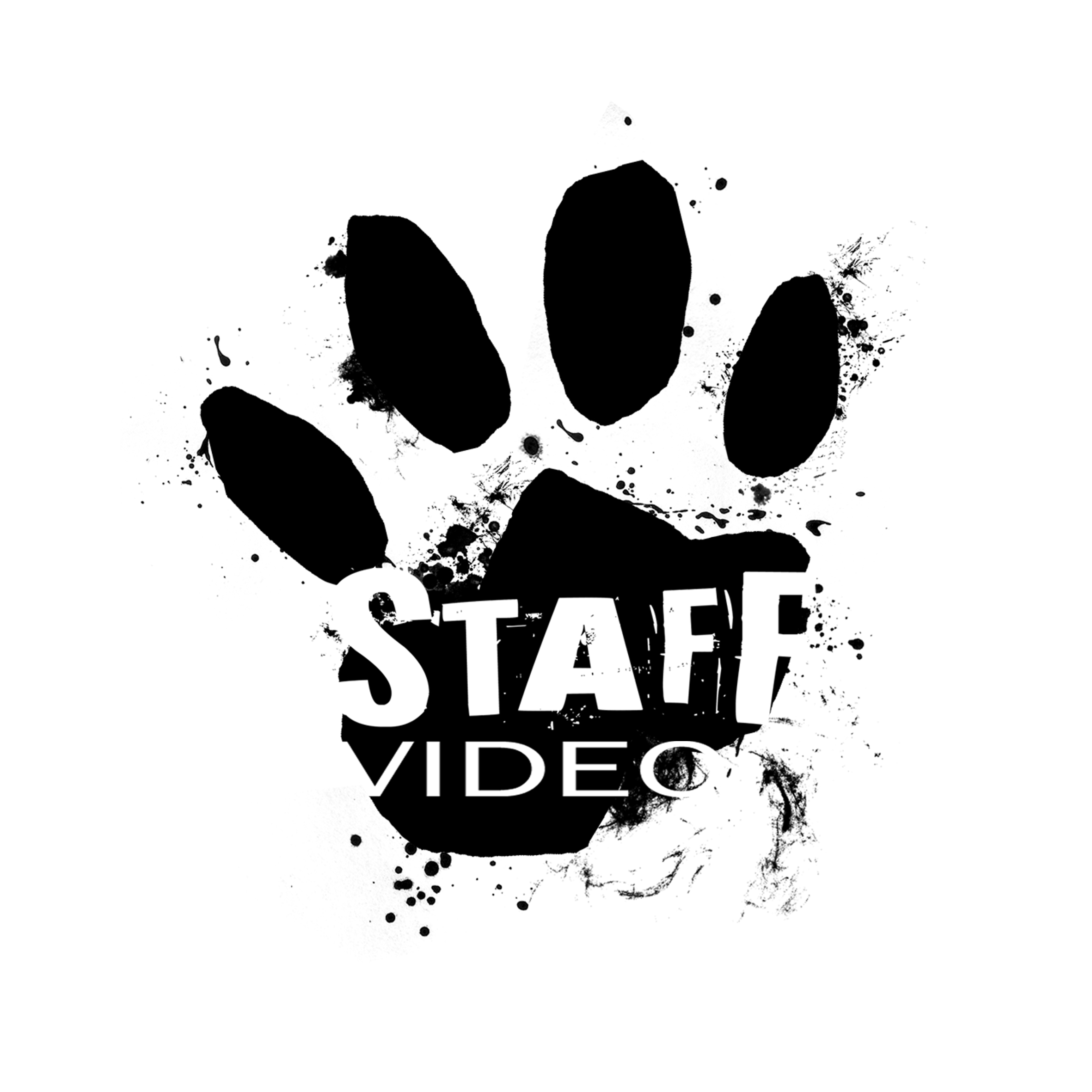 Agence de production audio visuelle Staff Vidéo